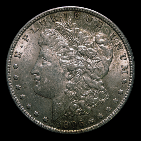 1878-1904 Morgan Silver Dollar (XF Condition)
